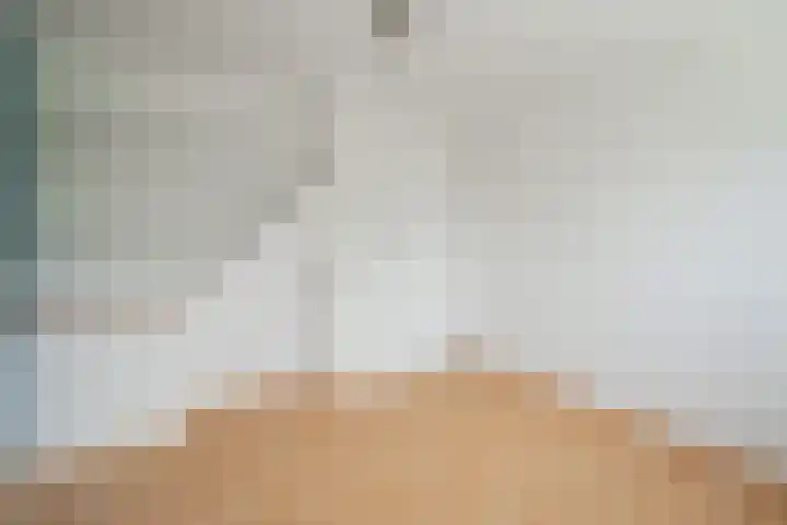 Beekweide 51 Epe thumbnail 16