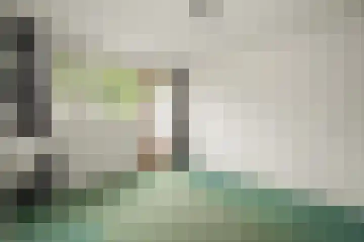 Beekweide 51 Epe thumbnail 17