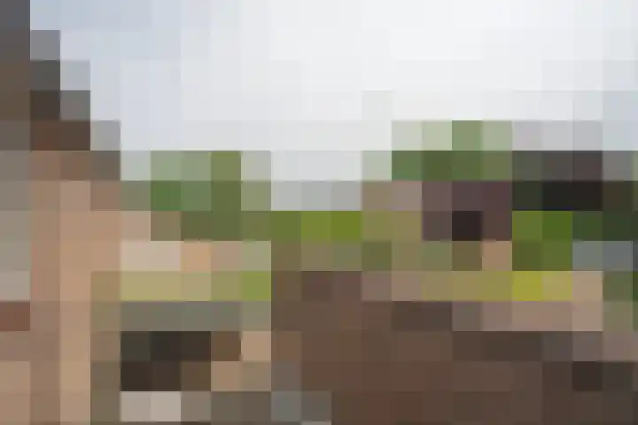 Beekweide 51 Epe thumbnail 18