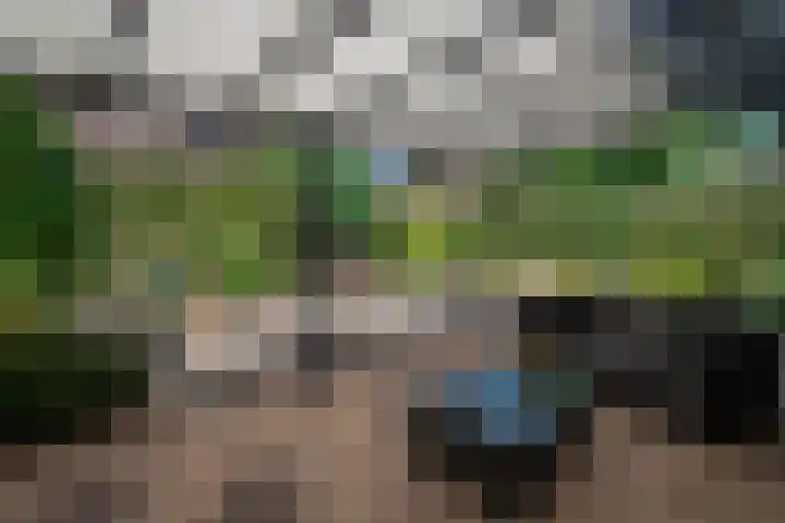 Beekweide 51 Epe thumbnail 25