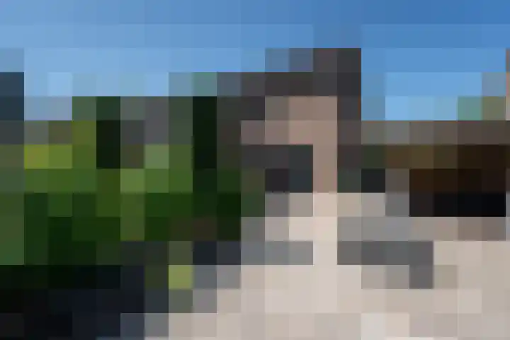 Beekweide 51 Epe thumbnail 4