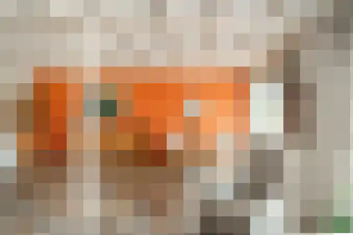 Beekweide 51 Epe thumbnail 6