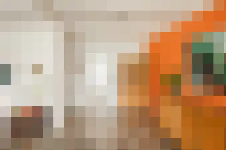 Beekweide 51 Epe thumbnail 7