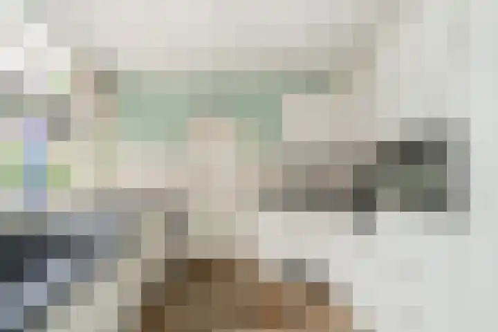Beekweide 51 Epe thumbnail 8
