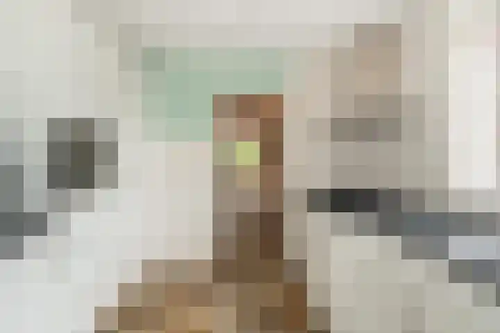 Beekweide 51 Epe thumbnail 9