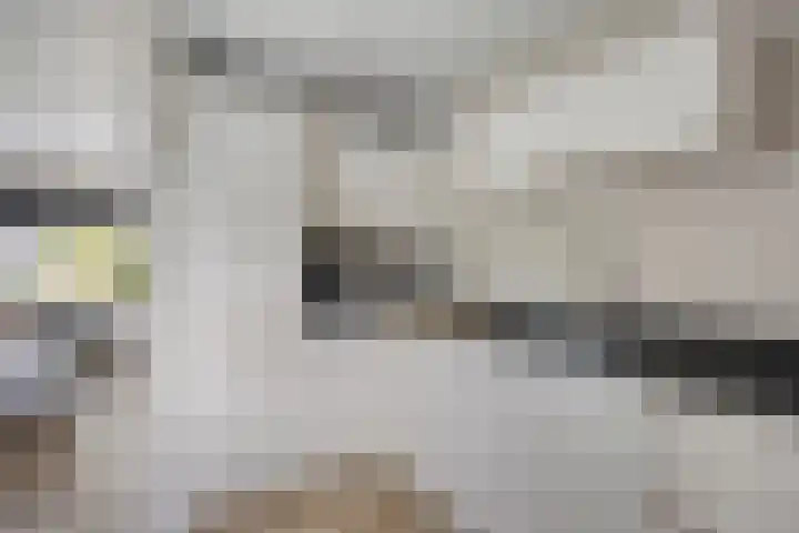 Beekweide 6 Epe thumbnail 10