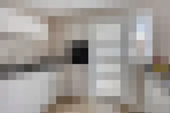 Beekweide 6 Epe thumbnail 11