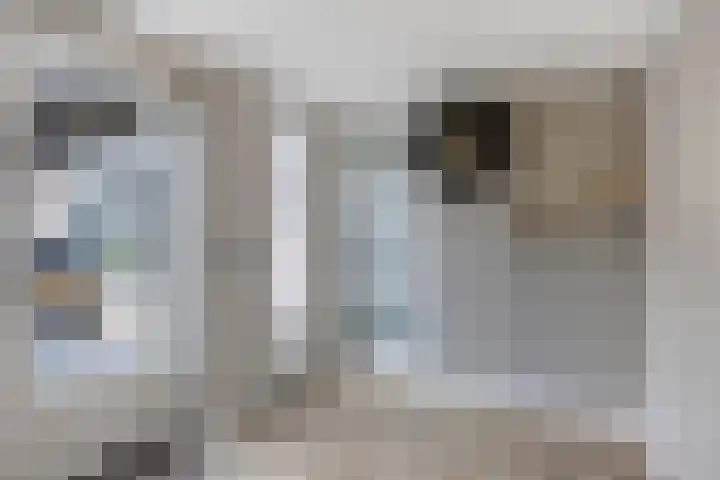 Beekweide 6 Epe thumbnail 12