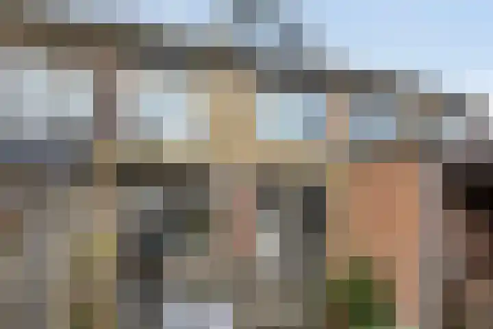 Beekweide 6 Epe thumbnail 30