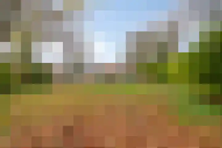 Beekweide 6 Epe thumbnail 31