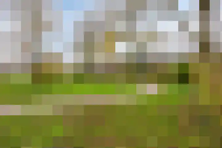 Beekweide 6 Epe thumbnail 32