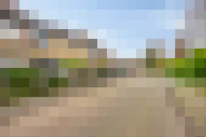 Beekweide 6 Epe thumbnail 33