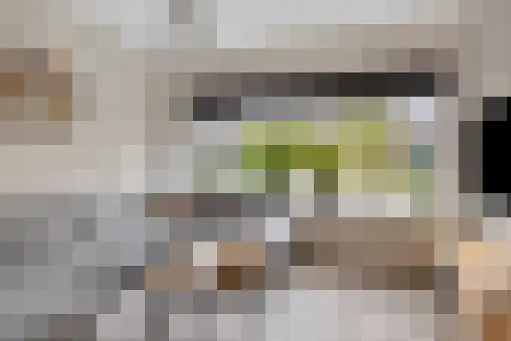 Beekweide 6 Epe thumbnail 4