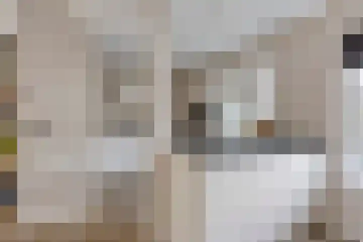 Beekweide 6 Epe thumbnail 8