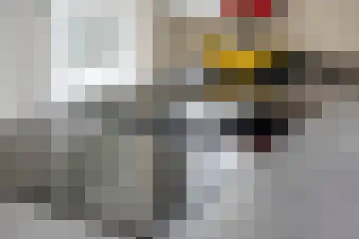 Beekweide 6 Epe thumbnail 9