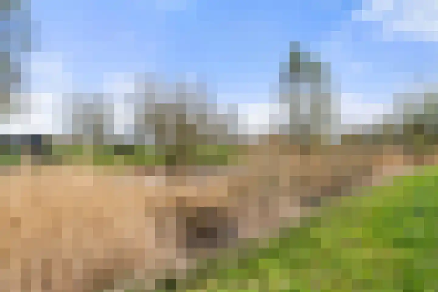 Beekweide 63 Renswoude thumbnail 52