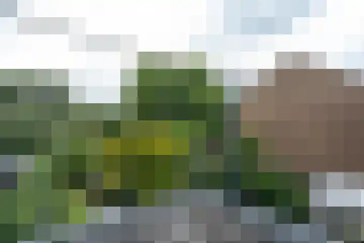 Beekweide 65 Epe thumbnail 16
