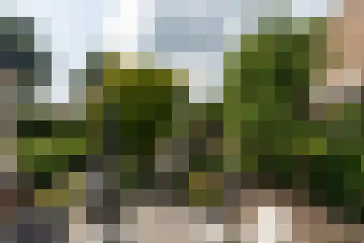 Beekweide 65 Epe thumbnail 30