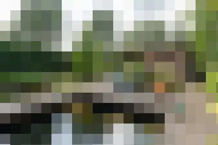 Beekweide 65 Epe thumbnail 33