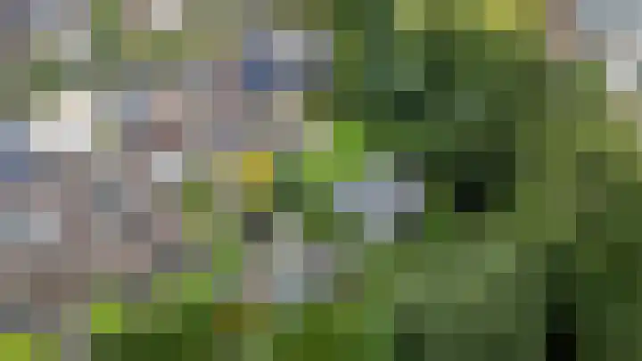 Beekweide 65 Epe thumbnail 34