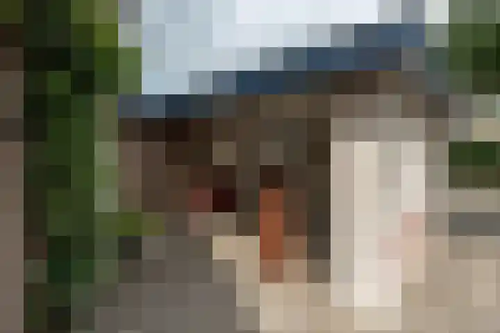 Beekweide 65 Epe thumbnail 4