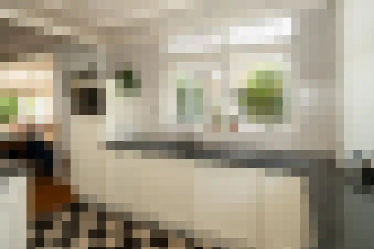 Beekweide 75 Epe thumbnail 10
