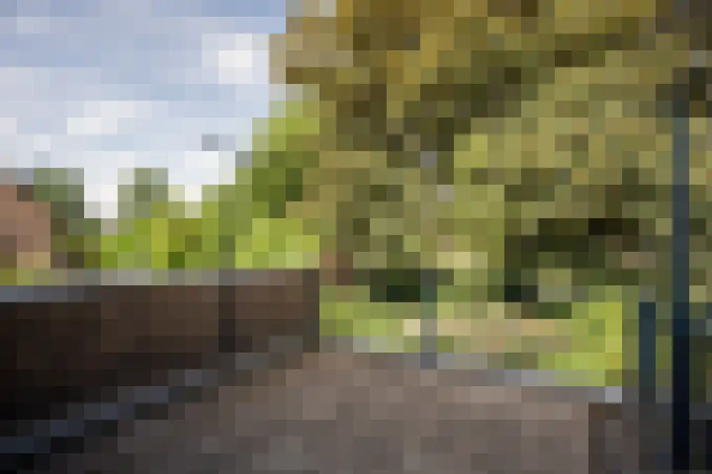 Beekweide 75 Epe thumbnail 26