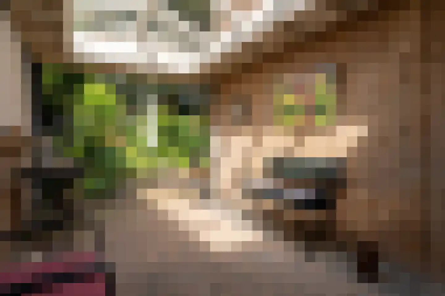 Beekweide 75 Epe thumbnail 37
