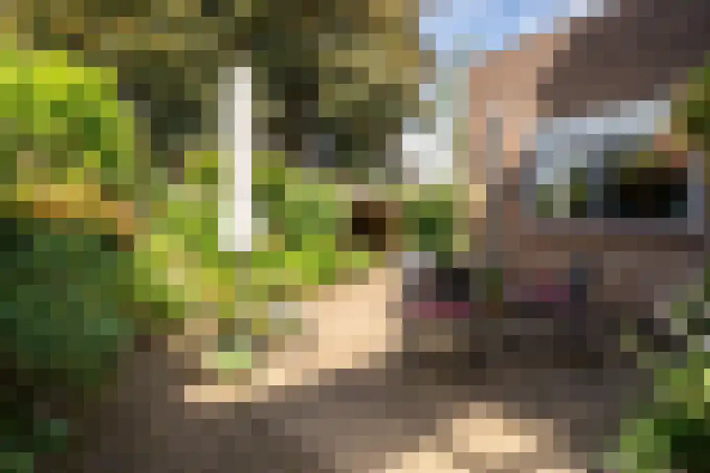 Beekweide 75 Epe thumbnail 39