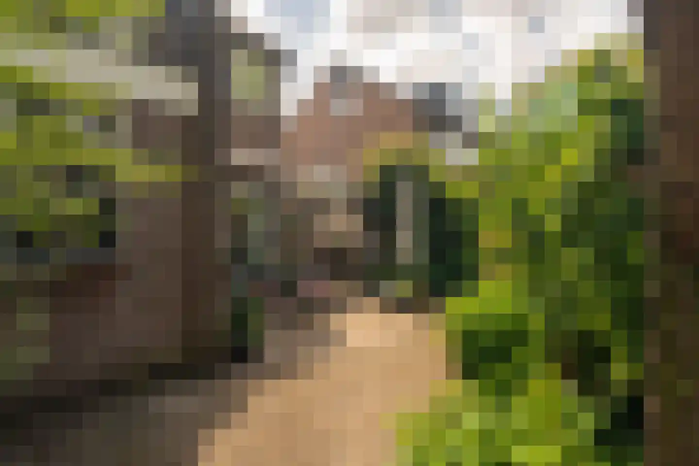 Beekweide 75 Epe thumbnail 40