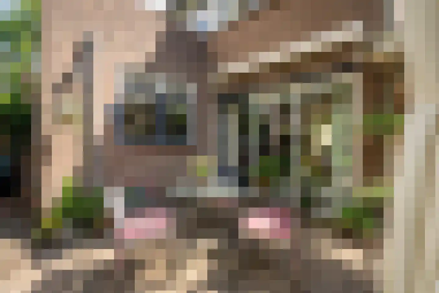 Beekweide 75 Epe thumbnail 41