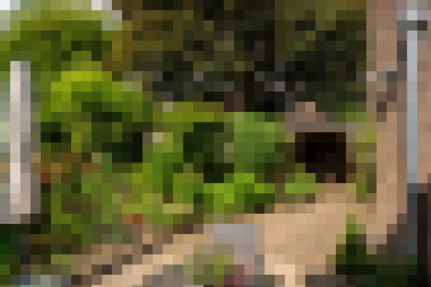 Beekweide 75 Epe thumbnail 42