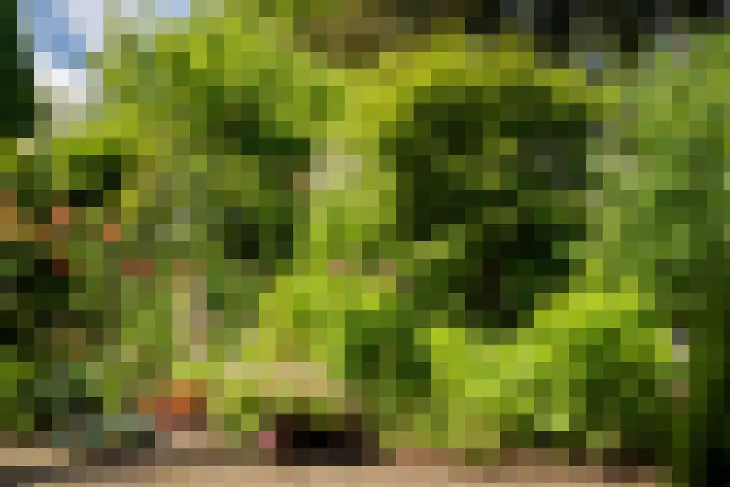 Beekweide 75 Epe thumbnail 43