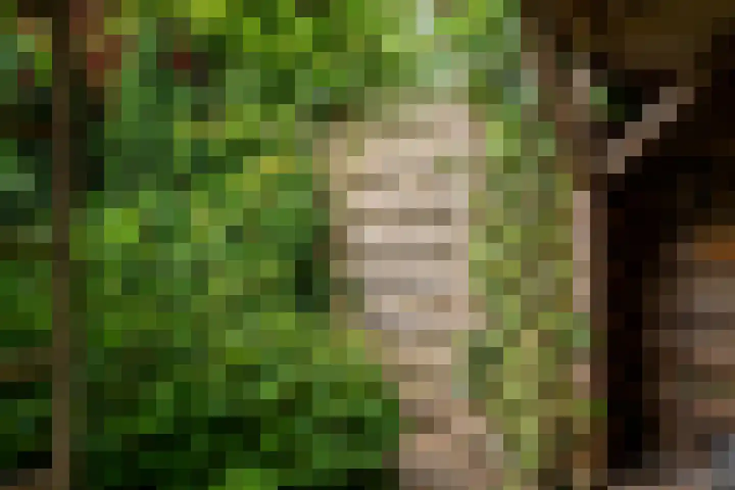 Beekweide 75 Epe thumbnail 44