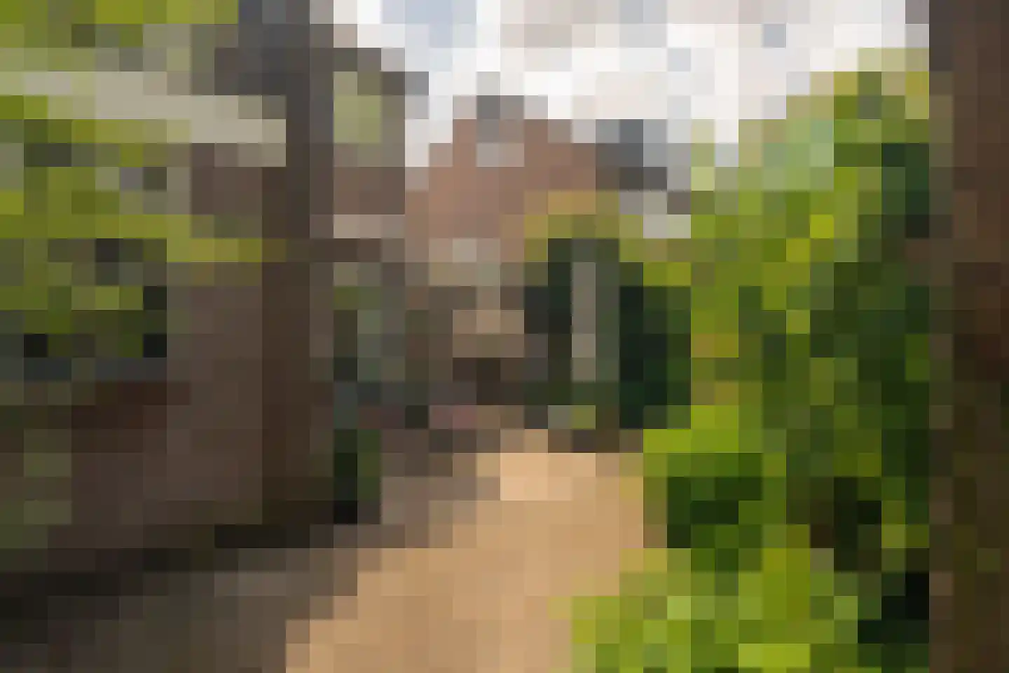 Beekweide 75 Epe thumbnail 5