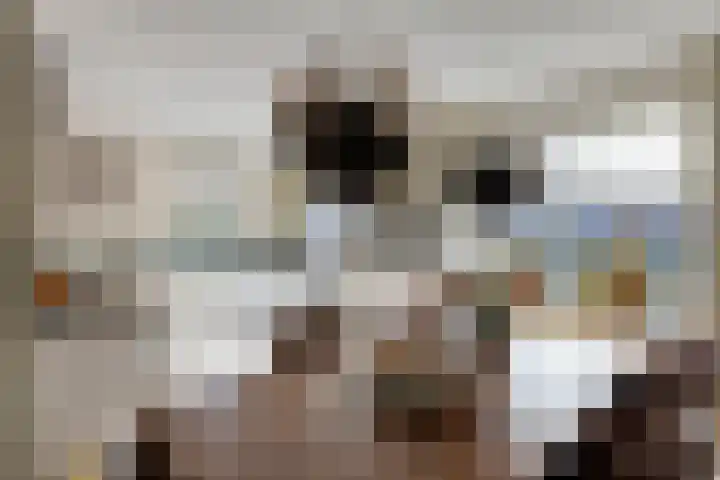 Beekweide 76 Renswoude thumbnail 11
