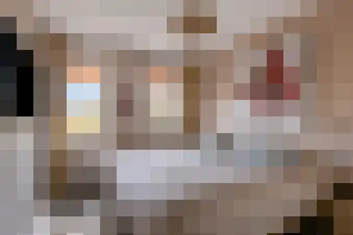 Beekweide 76 Renswoude thumbnail 19