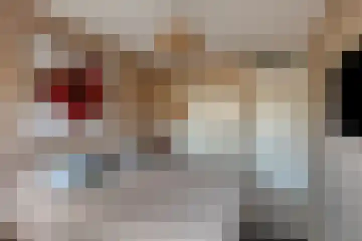 Beekweide 76 Renswoude thumbnail 20