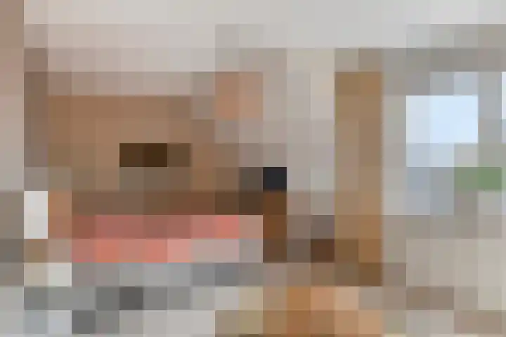 Beekweide 76 Renswoude thumbnail 25