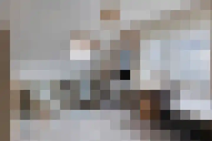 Beekweide 76 Renswoude thumbnail 27
