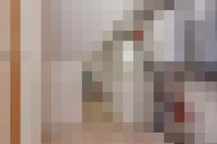 Beekweide 76 Renswoude thumbnail 37