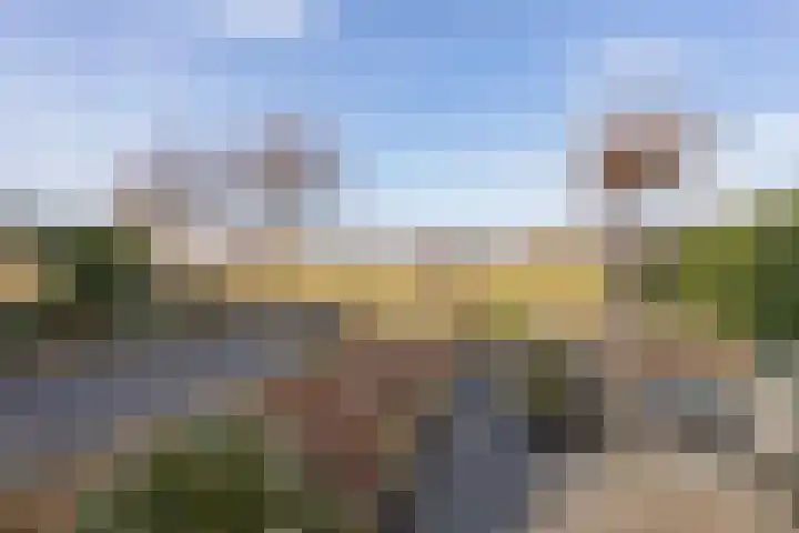 Beekweide 76 Renswoude thumbnail 41