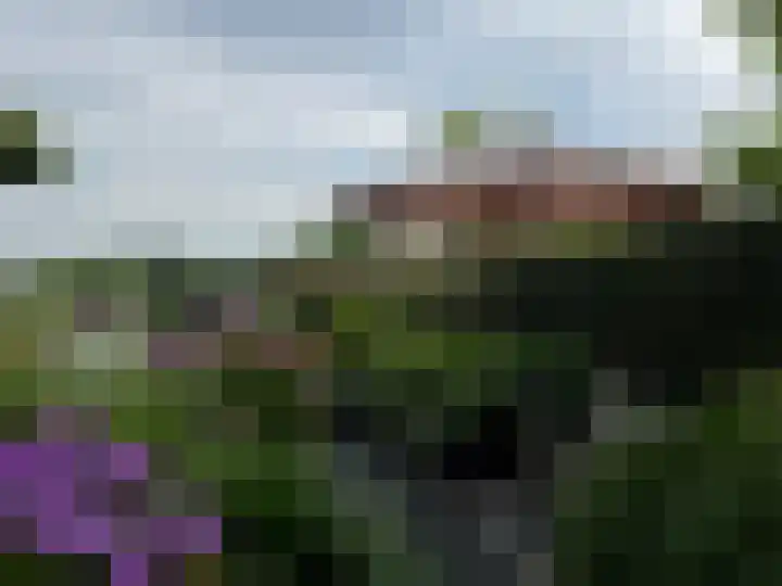 Beekweide 76 Renswoude thumbnail 45