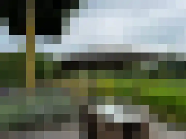 Beekweide 76 Renswoude thumbnail 46