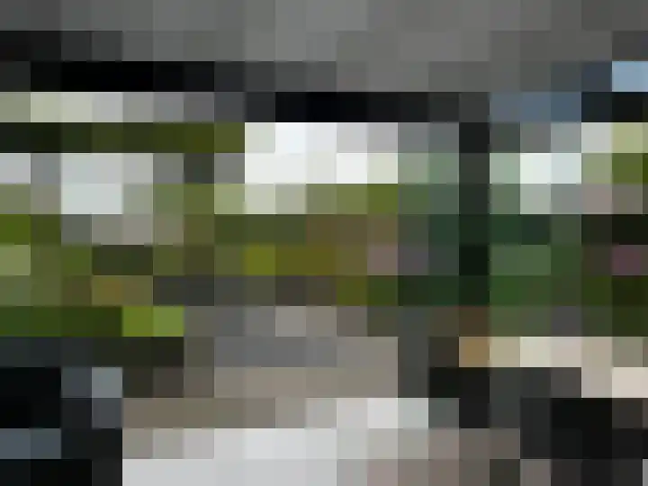 Beekweide 76 Renswoude thumbnail 47