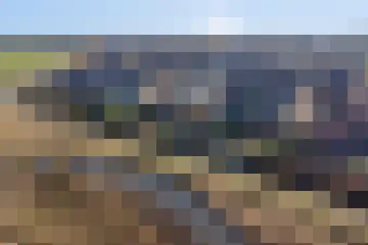 Beekweide 76 Renswoude thumbnail 49