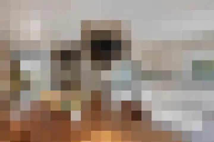 Beekweide 76 Renswoude thumbnail 5