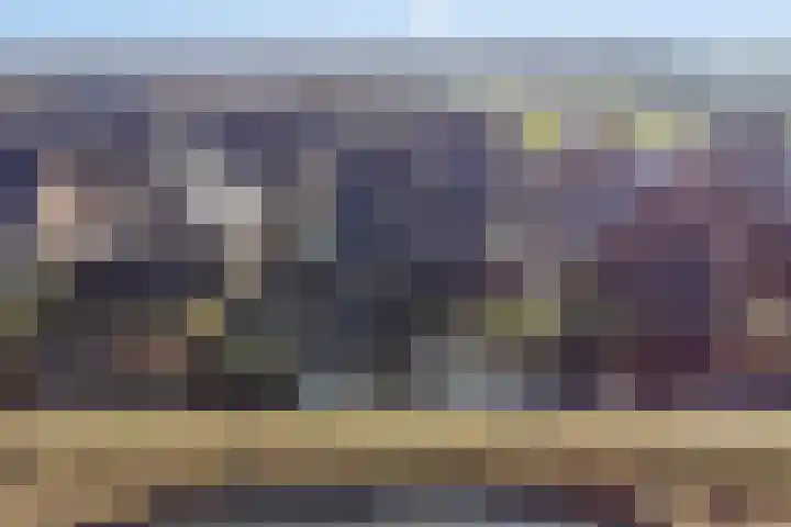 Beekweide 76 Renswoude thumbnail 50
