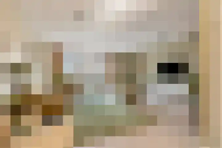Beekweide 76 Renswoude thumbnail 6