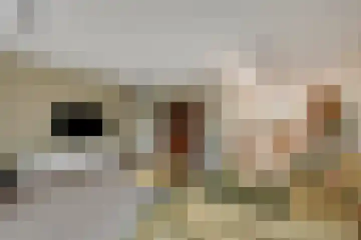 Beekweide 76 Renswoude thumbnail 8